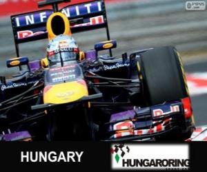 yapboz Sebastian Vettel - Red Bull - Macaristan Grand Prix 2013, sınıflandırılmış 3
